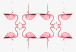 Greater Flamingo #7839011