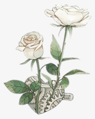 Tumblr Sticker - Garden Roses #7839928