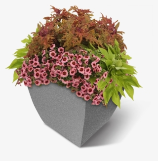 Square Commercial Planter W-flowers - Flower Planter Png #7841030