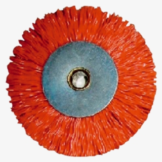 Sega A Nastro Spazzola Lama #7841460