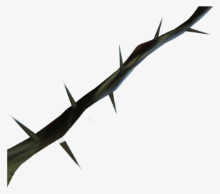 Thorns, Spines, And Prickles #7842270