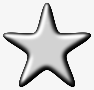 3d Silver Star #7843160