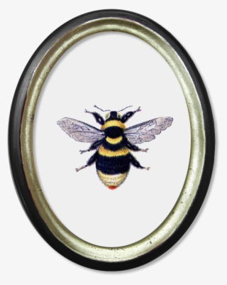 Óvalo Vintage Abejorro - Cuadros Ovalo Png #7843700