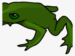 Toad Clipart Real Frog - Frog Clip Art #7844667