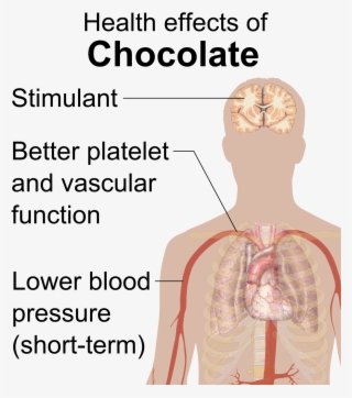 Health Effects Of Chocolate - Smaak En Effecten Van Chocolade #7844903