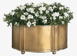 Add A Natural Touch To Your Surroundings With This - Chrysanths #7847084