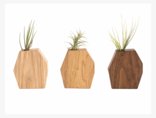 Flowerpot #7847302