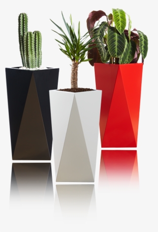 Barevné Obaly Na Květináče - Houseplant #7847757