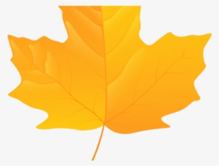 Autumn Leaves Clipart Yellow - Maple Leaf Png Yellow #7847760