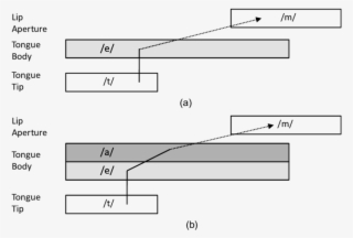 In Phase Coupling Is Represented By Continuous Lines, - Diagram #7849415