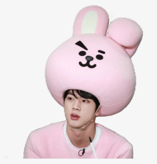 Rj Bts Bt21 Jin Cooky Freetoedit - Bts Dressed As Bt21 #7849447