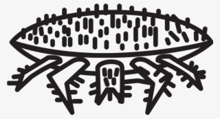 Varroa And Beekeeping - Cancer #7850005