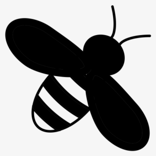 Honey - Net-winged Insects #7850195