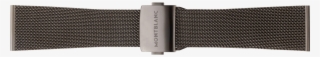Buckle #7853262