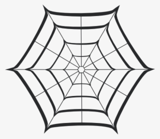Spider Web #7853469