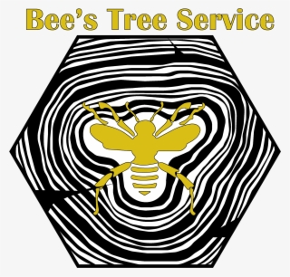 Examples Of Vector Logo Design - Spider Web #7853579