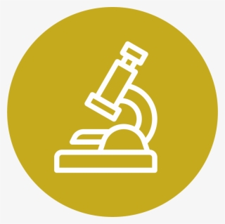 Exámenes De Laboratorio #7854885