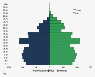 Click On The Graph To See It Full Size - Population Pyramid Bosnia #7854891