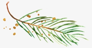 Com Julie Skelton Is A Garden And Commercial Photographer - Illustration #7857487