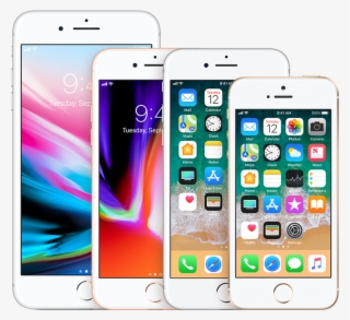 800 X 800 2 - Iphone Se Rose Gold Front #7858930