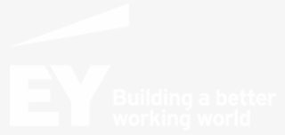 Ey Labs - - Ernst & Young #7859057