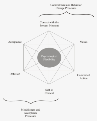 Hexaflex - Acceptance Commitment Therapy #7859817