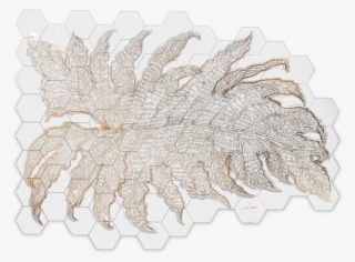 Alocasia - Crochet #7860614