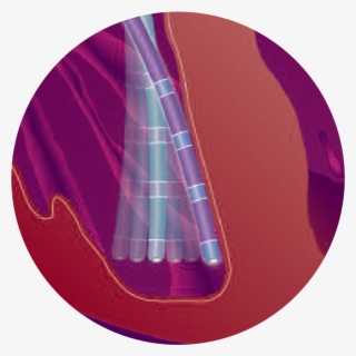 Stabilene Polymer Construction Is Designed To Provide - Circle #7861696