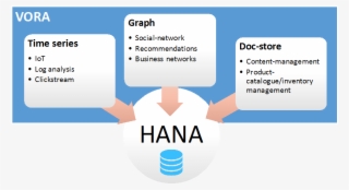 Sap Hana Vora - Sap Hana Walmart #7863965