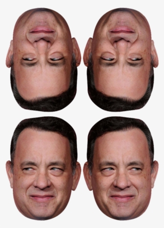 Collage #7864009
