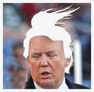 Trump Hair Png - Trump Wig Png - Free Transparent PNG Download - PNGkey