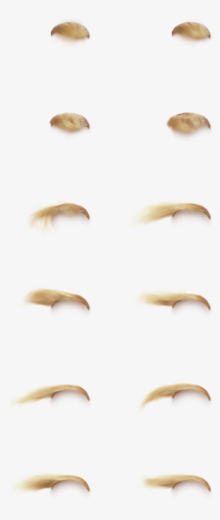 Hilarious Interactive Single Serving One Pager Where - Close-up #7864588