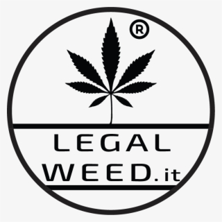 Legal Weed Cannabis Light - Marijuana Leaf #7864687