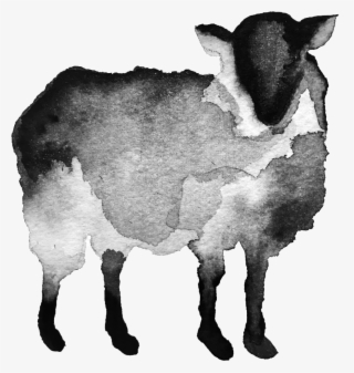 Black Sheep Transparent Copy - Dairy Cow #7865003