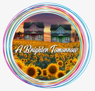 Freefall Theatre Page Png Www Tumblr Picturesque Sunflowers - Cuadros De La Naturaleza #7865807