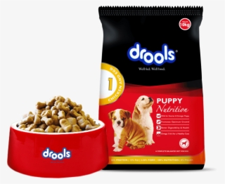 We Are Focused On Making The Power Of Real Nutrition - Drools Dog Food #7866177