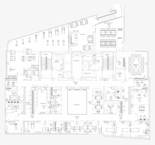 Exercise & Functional Training Lab - Paper #7866424