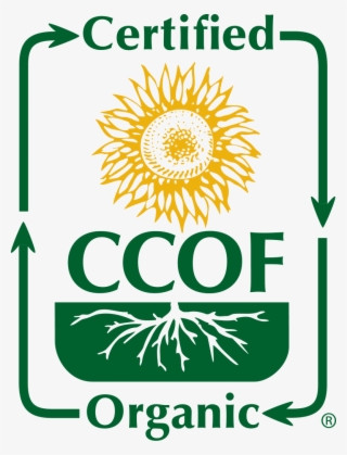 Certified Ccof Organic Logo - Certified Ccof Organic #7867089