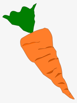 En Esta Actividad Tuvimos Que Dibujar Una Zanahoria - Baby Carrot #7867202
