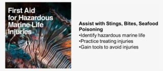 Haz Marine Life - Marine Biology #7869109