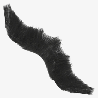 Full Beard Black Diff - Cat #7869456