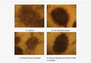 Download - Art #7869497