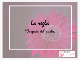 La Piazza Hotel #7871595