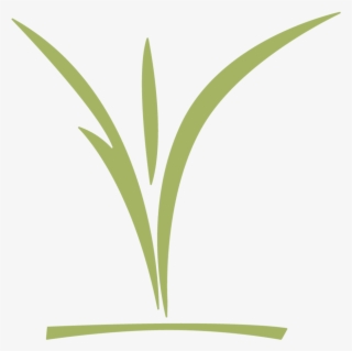 Ccc Childrens Logo Green - Grass #7872939