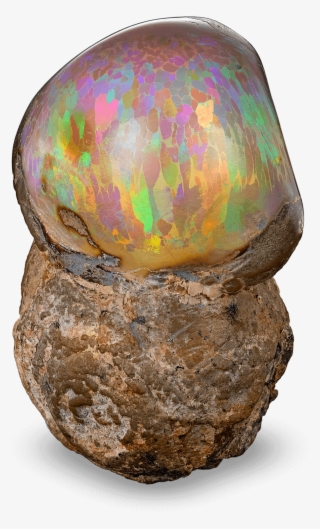 Ethiopian Mezezo Chocolate Opal Specimen - Chocolate Opal #7873293