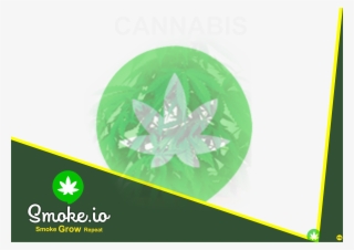 S29 - Maple Leaf #7873361