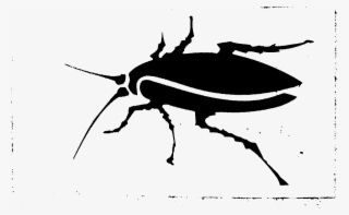 Las Famosas Cucarachas - Weevil #7873466