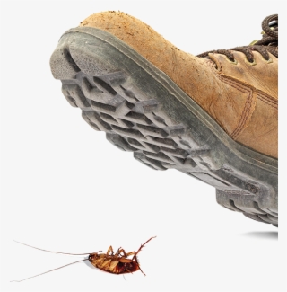 Stepping On A Bug #7873960