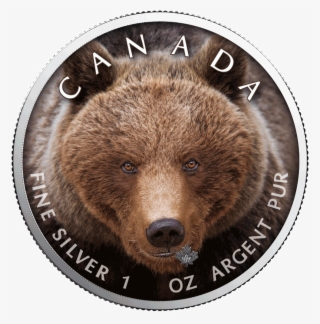 Ibca201956 1 - Canadian Gold Maple Leaf #7874203