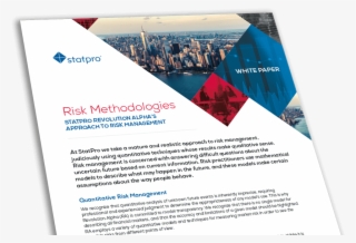 White Paper Thumbnails Risk Meth - Flyer #7874697